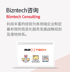 Bizntech Consulting