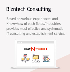 Bizntech Consulting